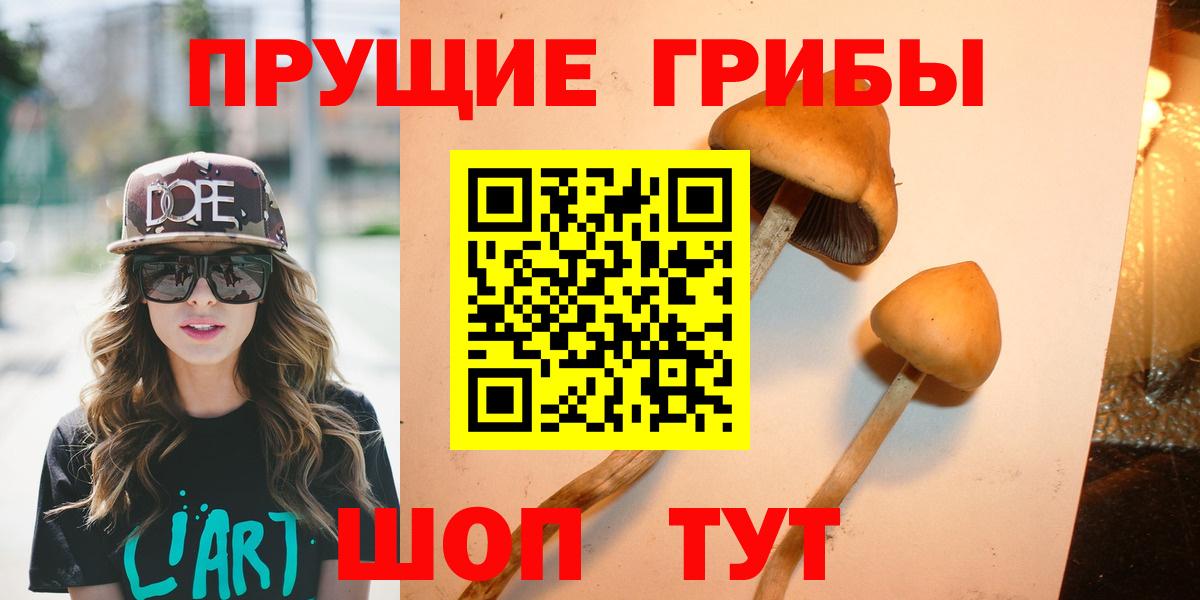 Псилоцибиновые грибы прущие грибы  Вход с VPN  Нижний Новгород 